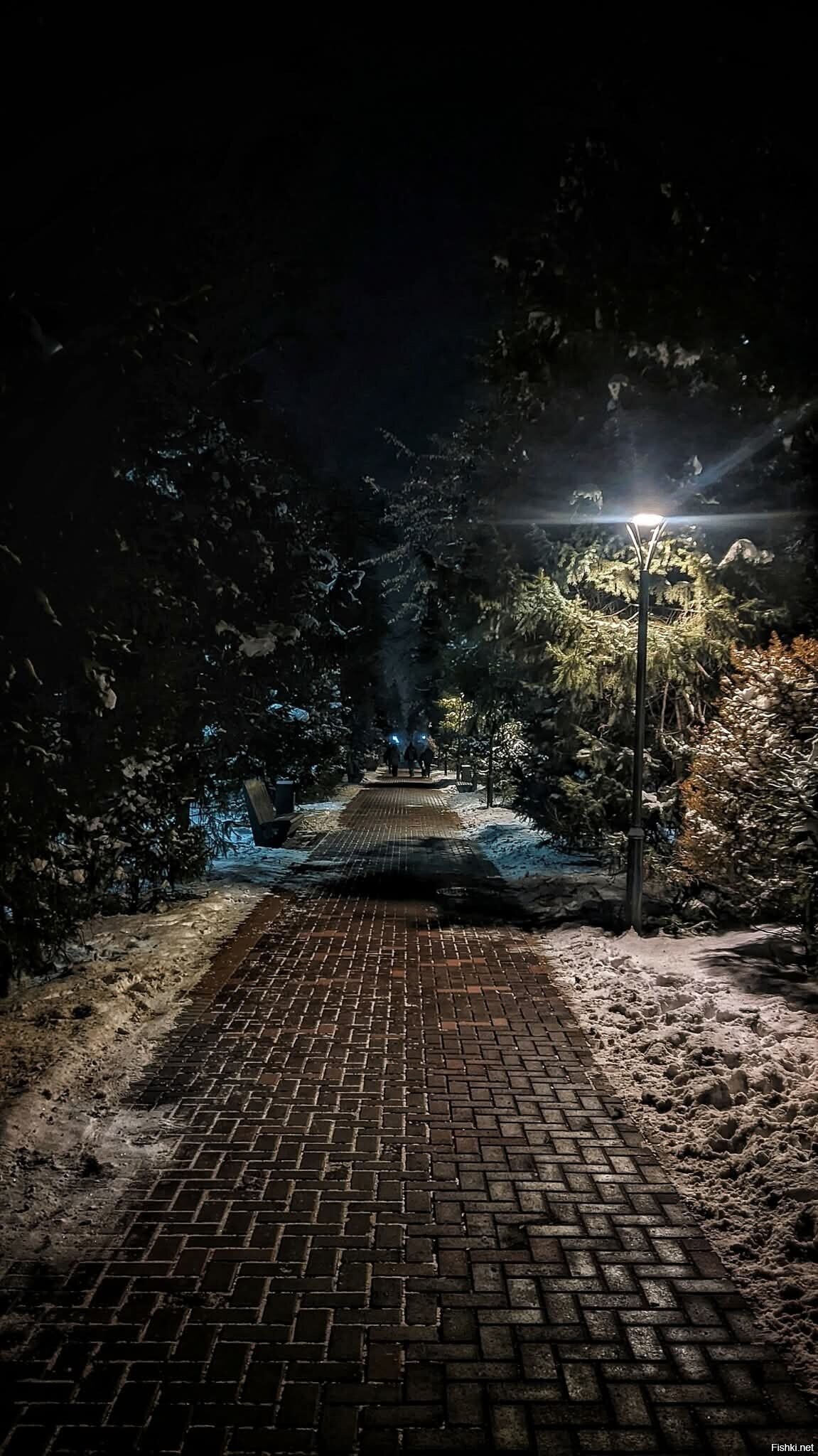 На улице Тулебаева