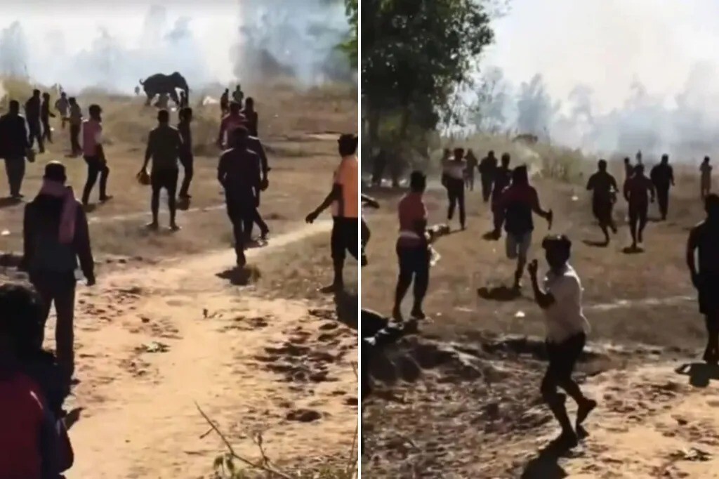 В Индии слон за 10 дней убил более двух десятков человек