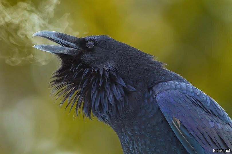 На улице морозно