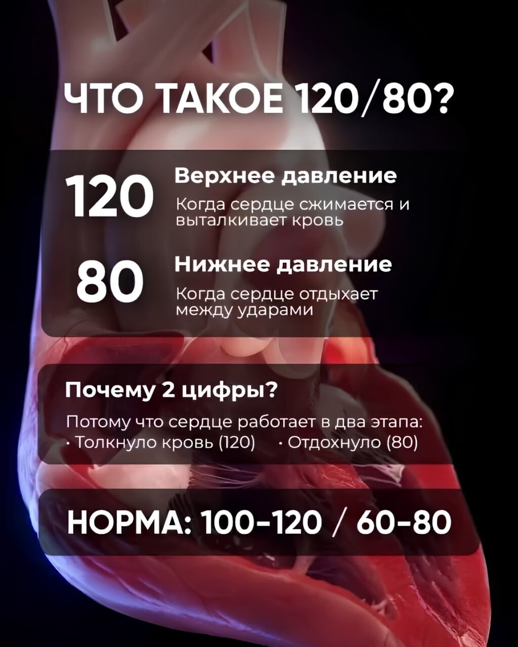 Специально для тех, кому цифры на тонометре ни о чём не говорят