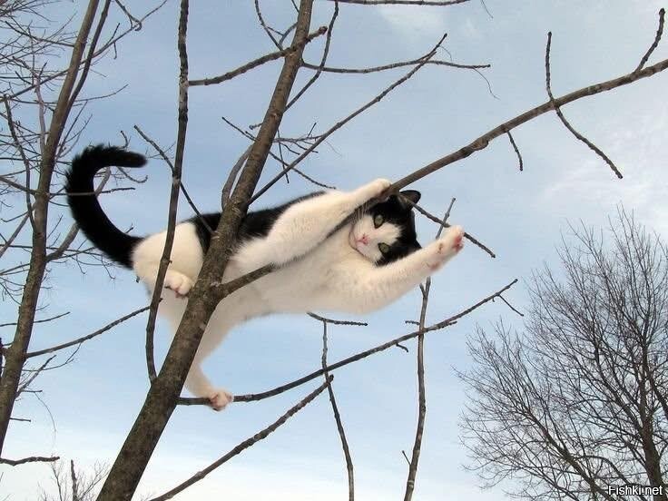 Снимите меня)