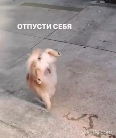 Неплохой клип