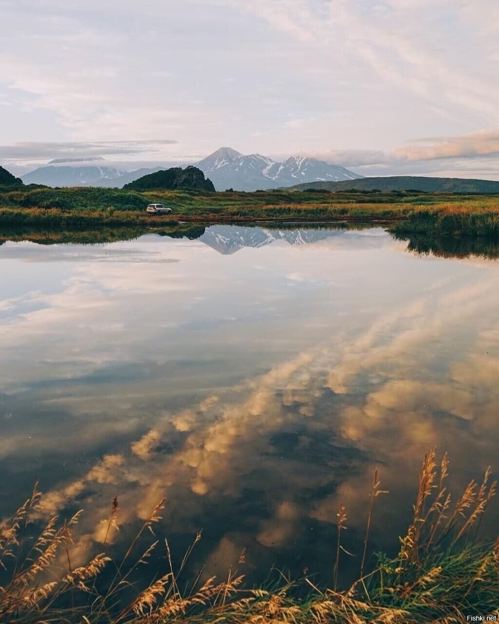 Солянка