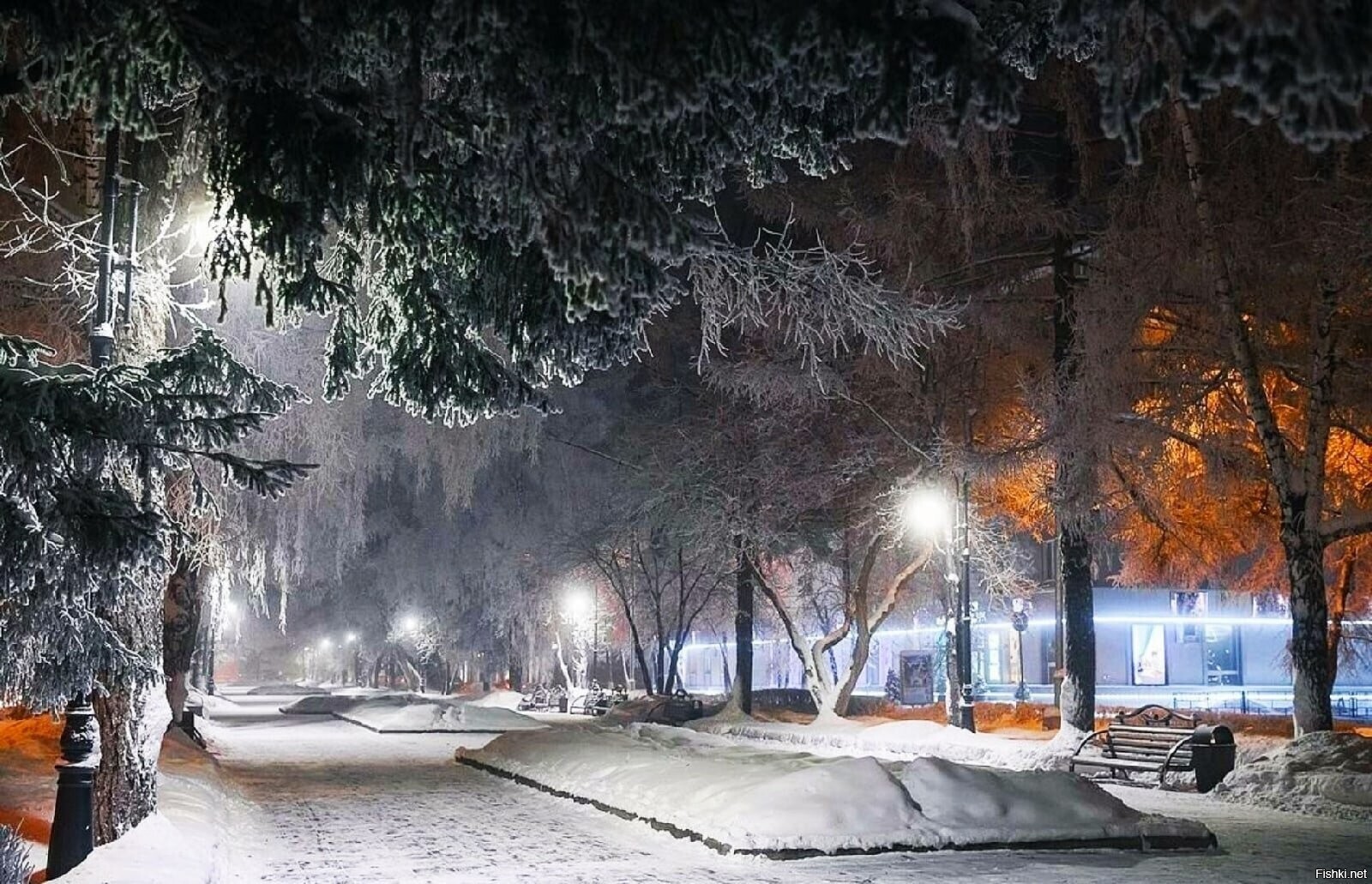 Солянка