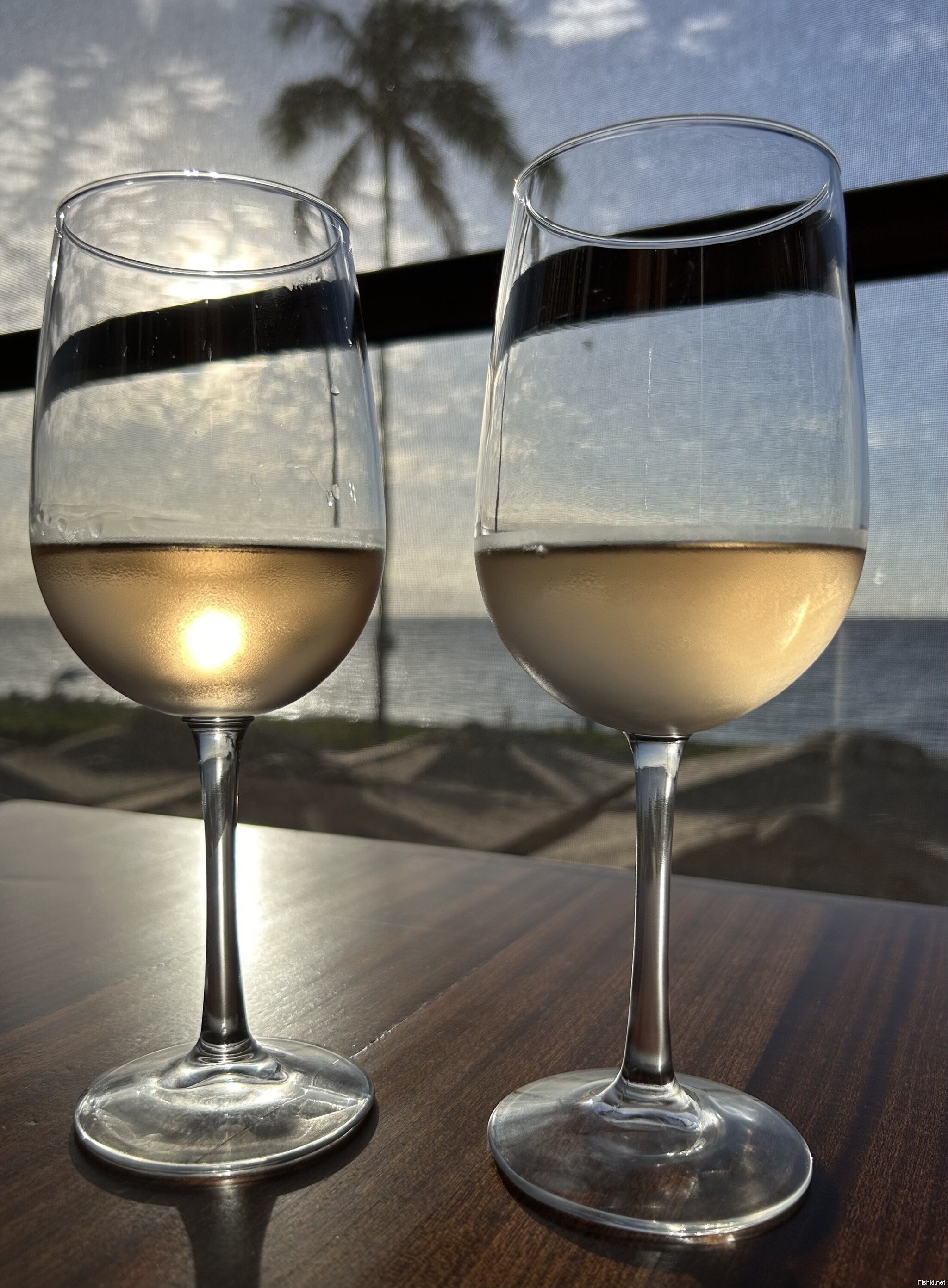 Немного солнца в холодном вине (с)