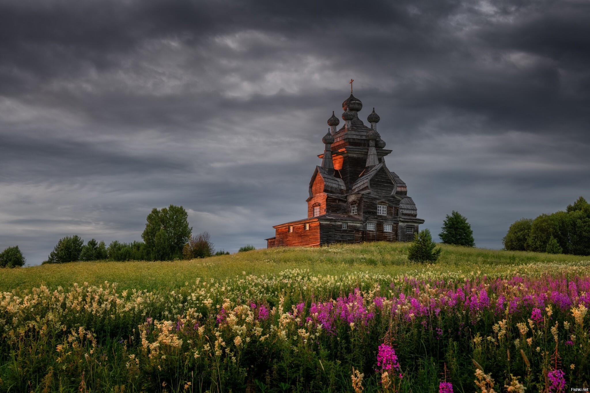Солянка