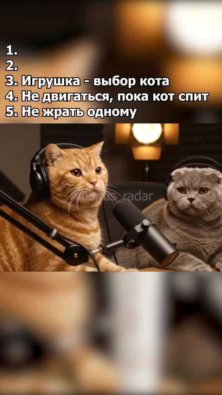 Мысли котов)