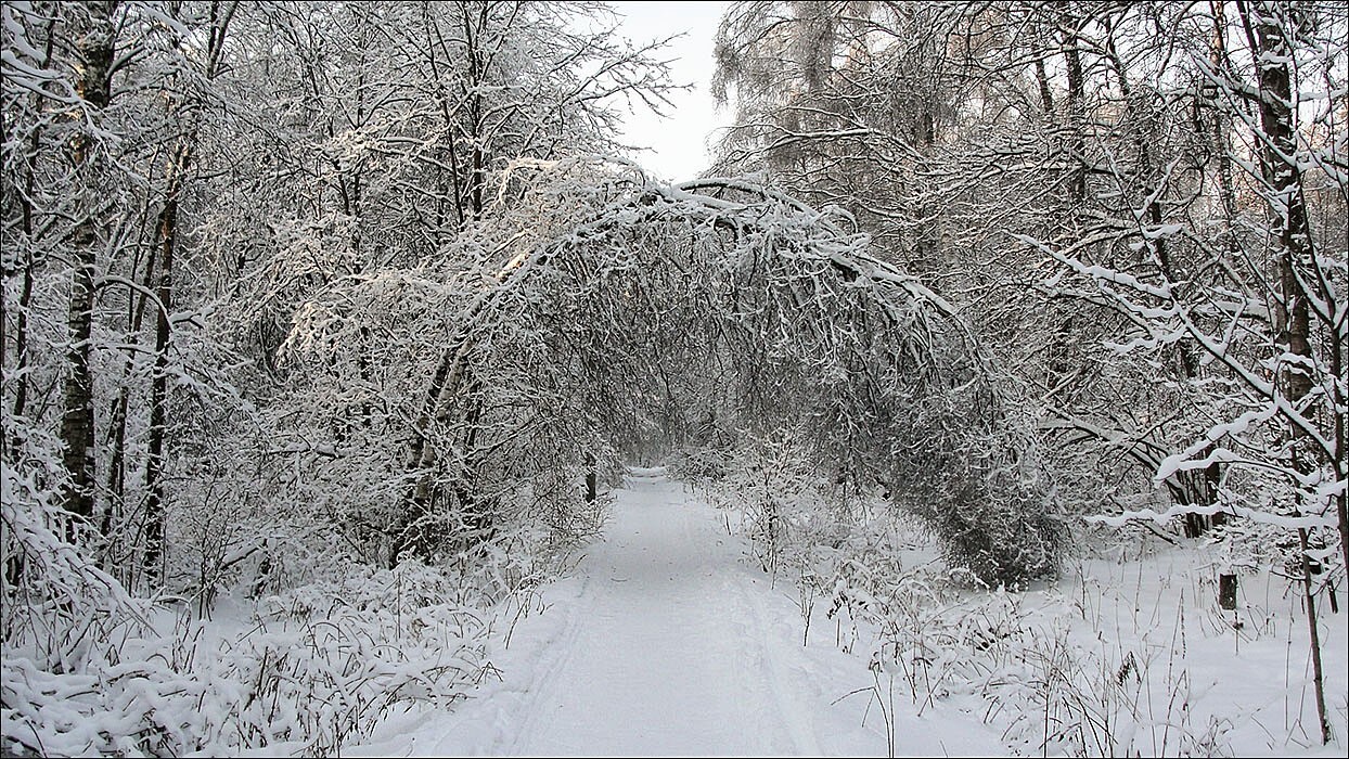 Тяжелый снег