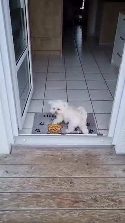 Хороший мальчик 