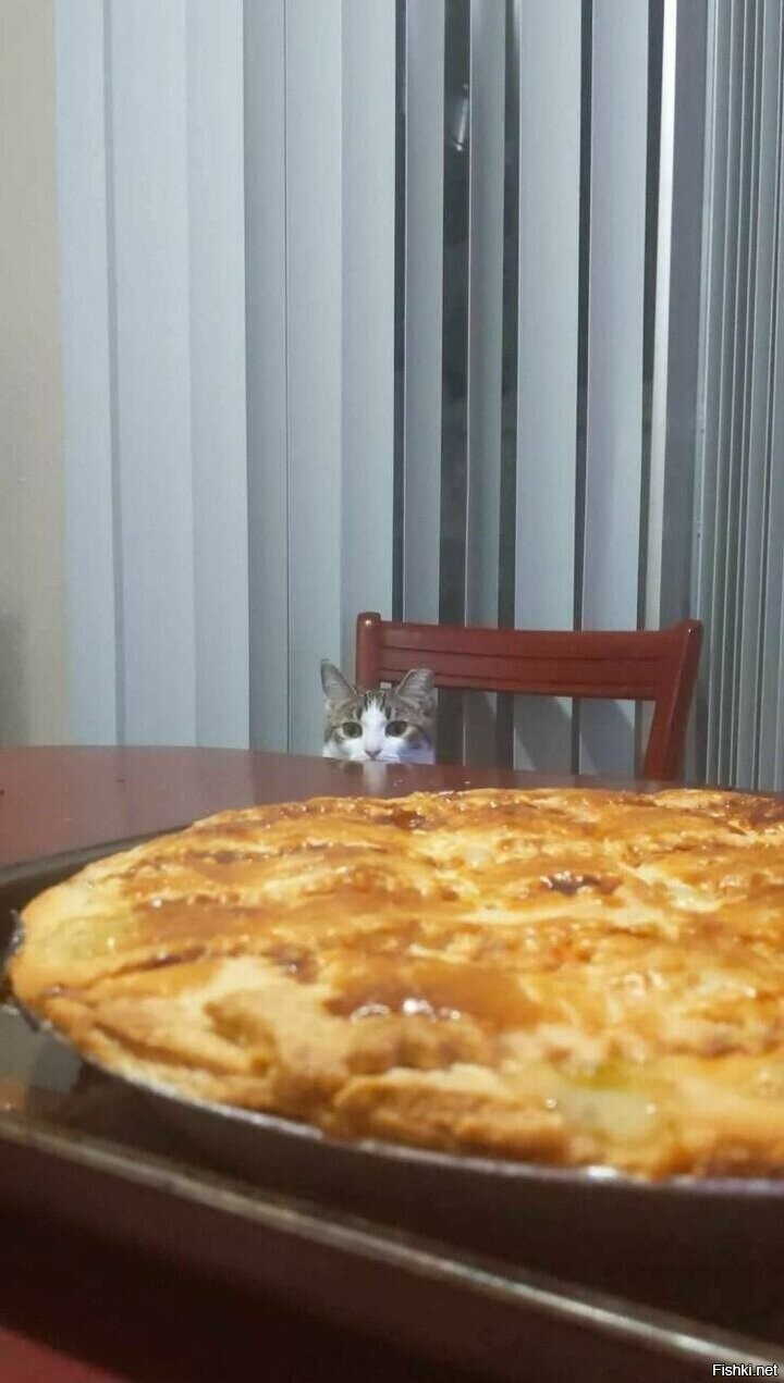 Доброе утро
