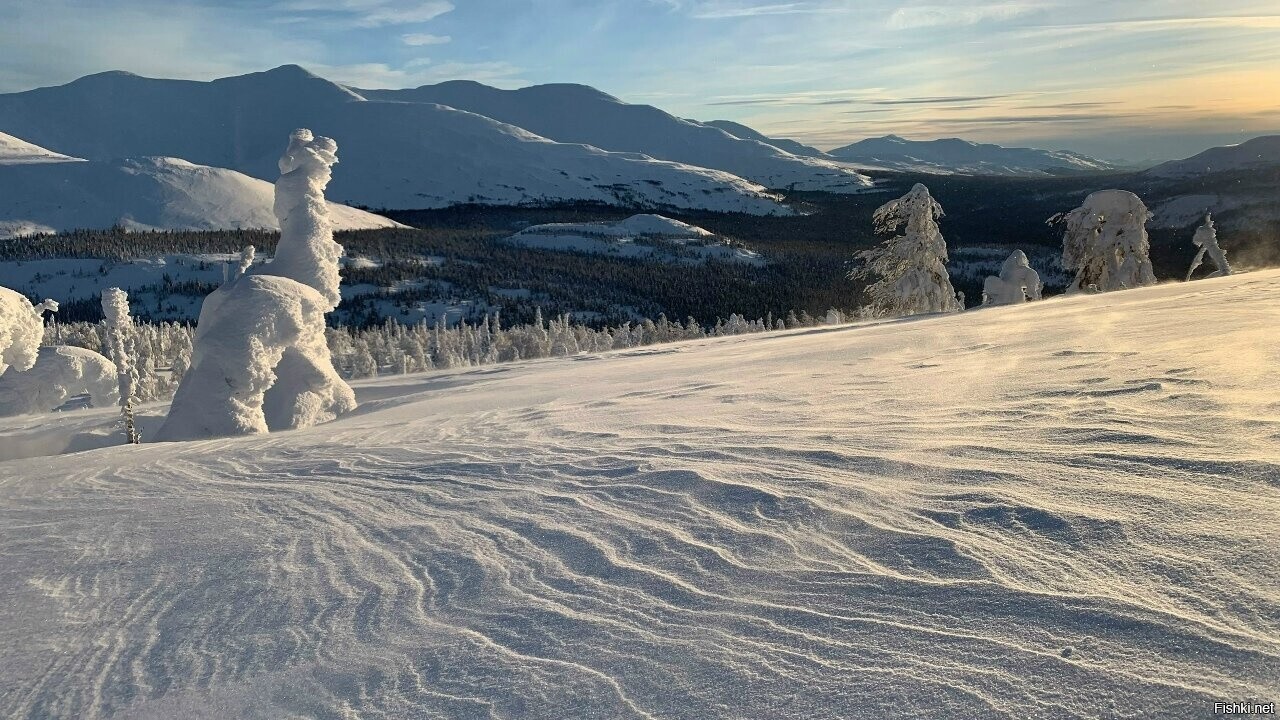 Солянка
