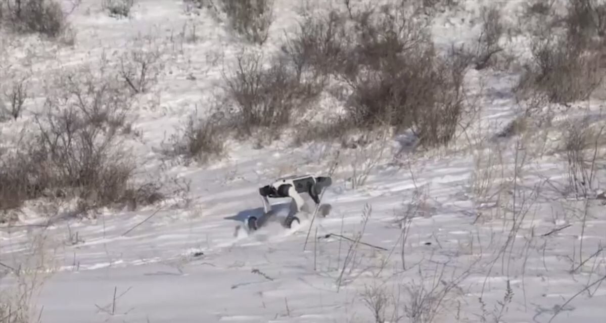 Китайцы протестировали робособаку в экстремальных условиях