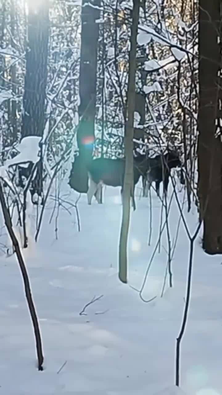 Измайловский парк