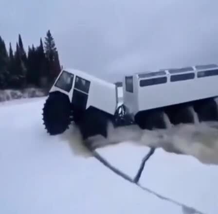 Классная амфибия