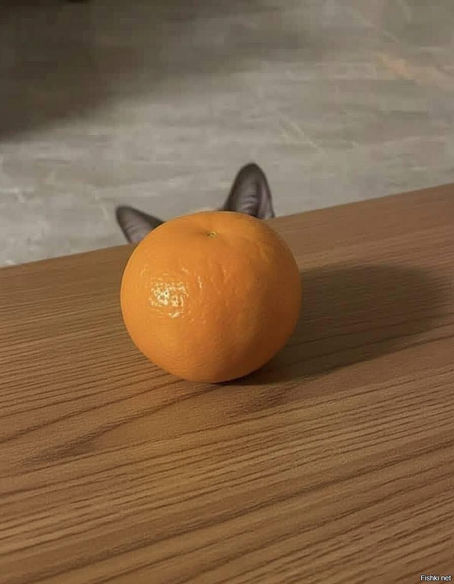 Ушки)