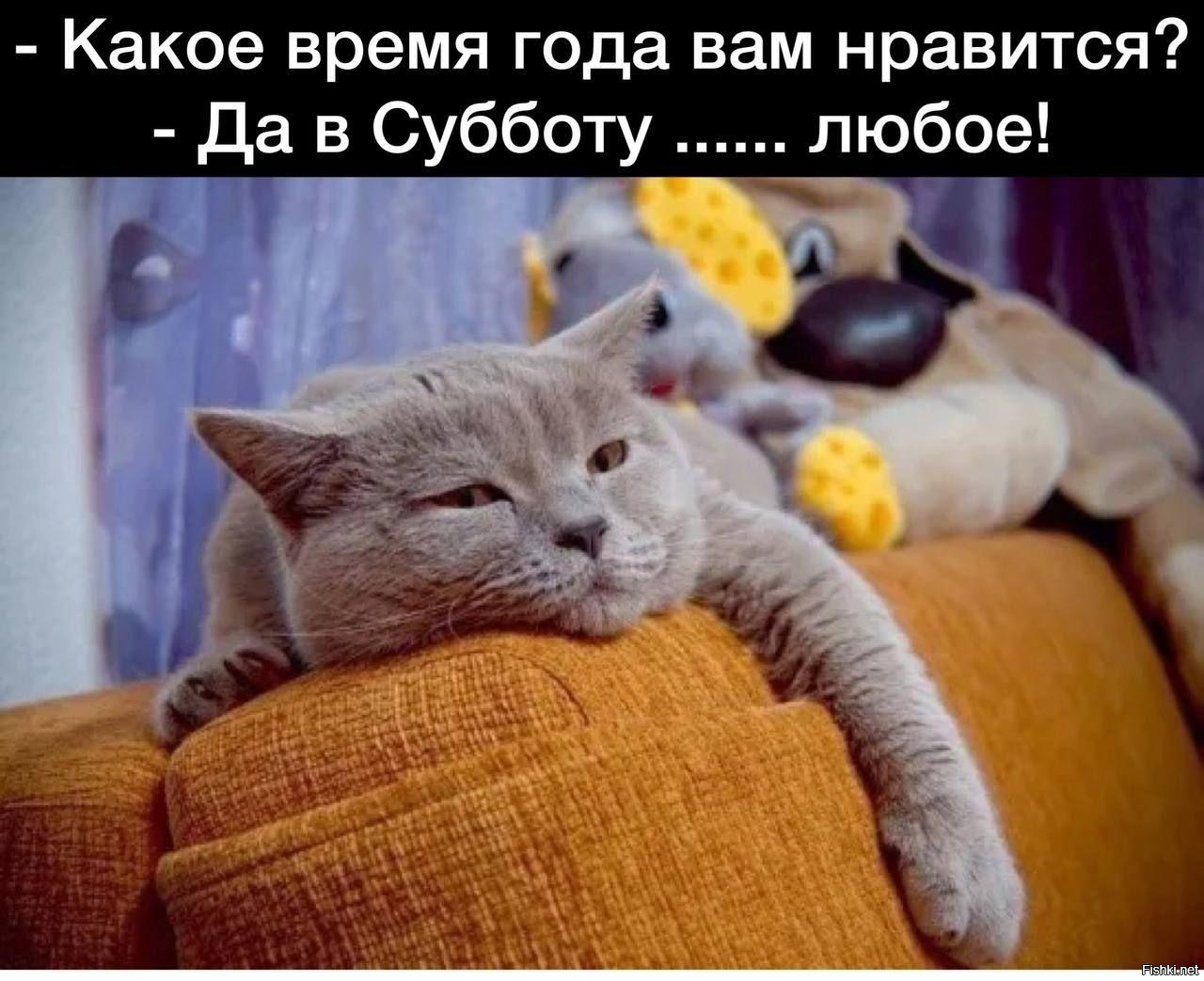 Доброго утра