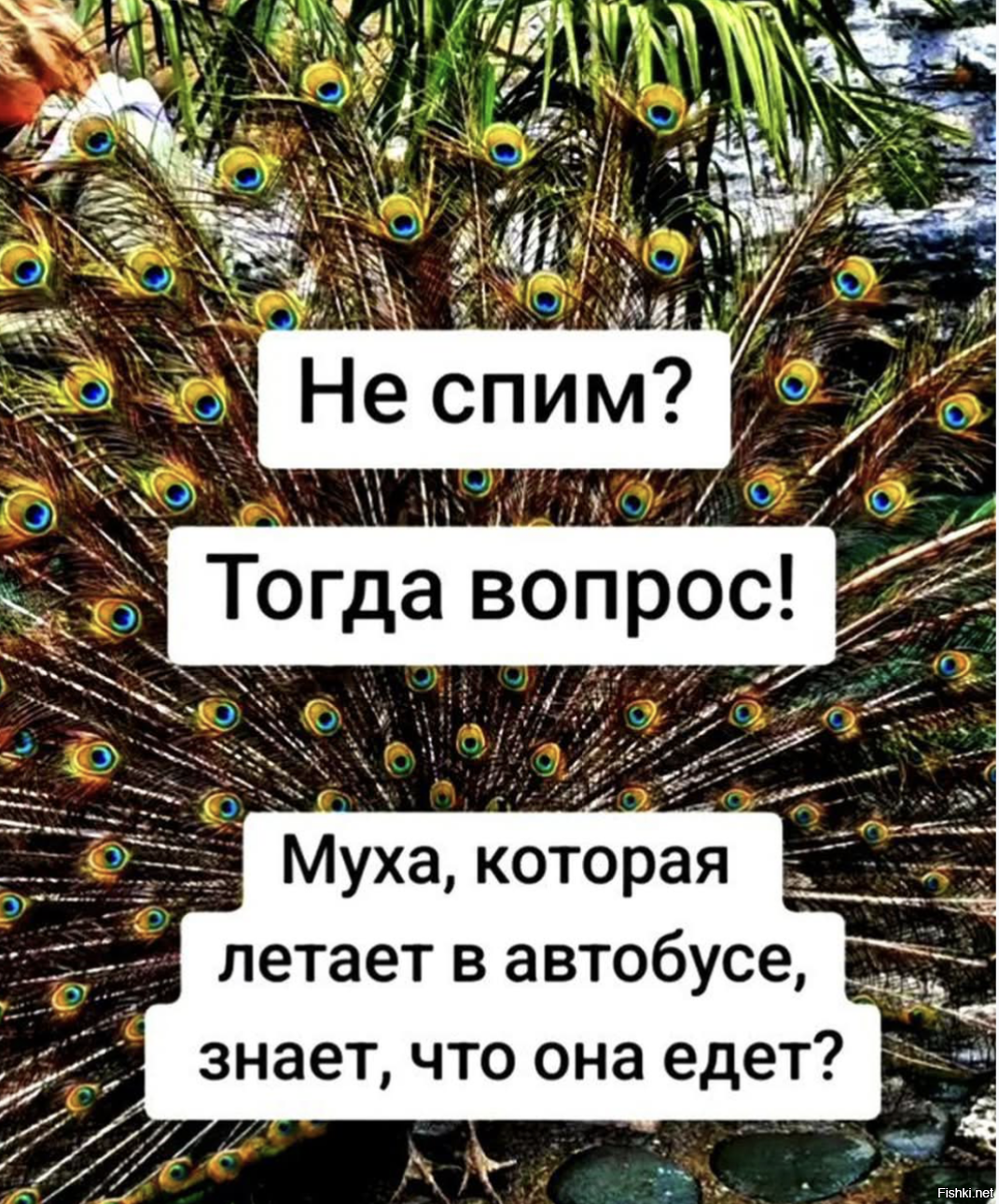 В далекие края 