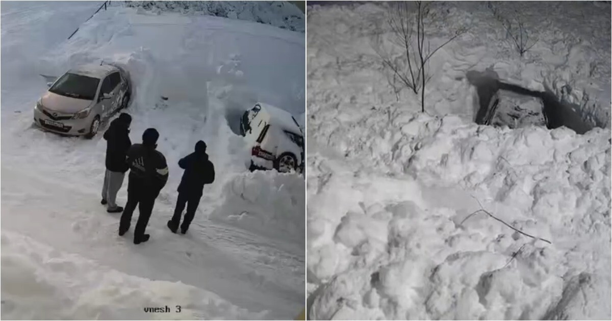 День сурка на Камчатке