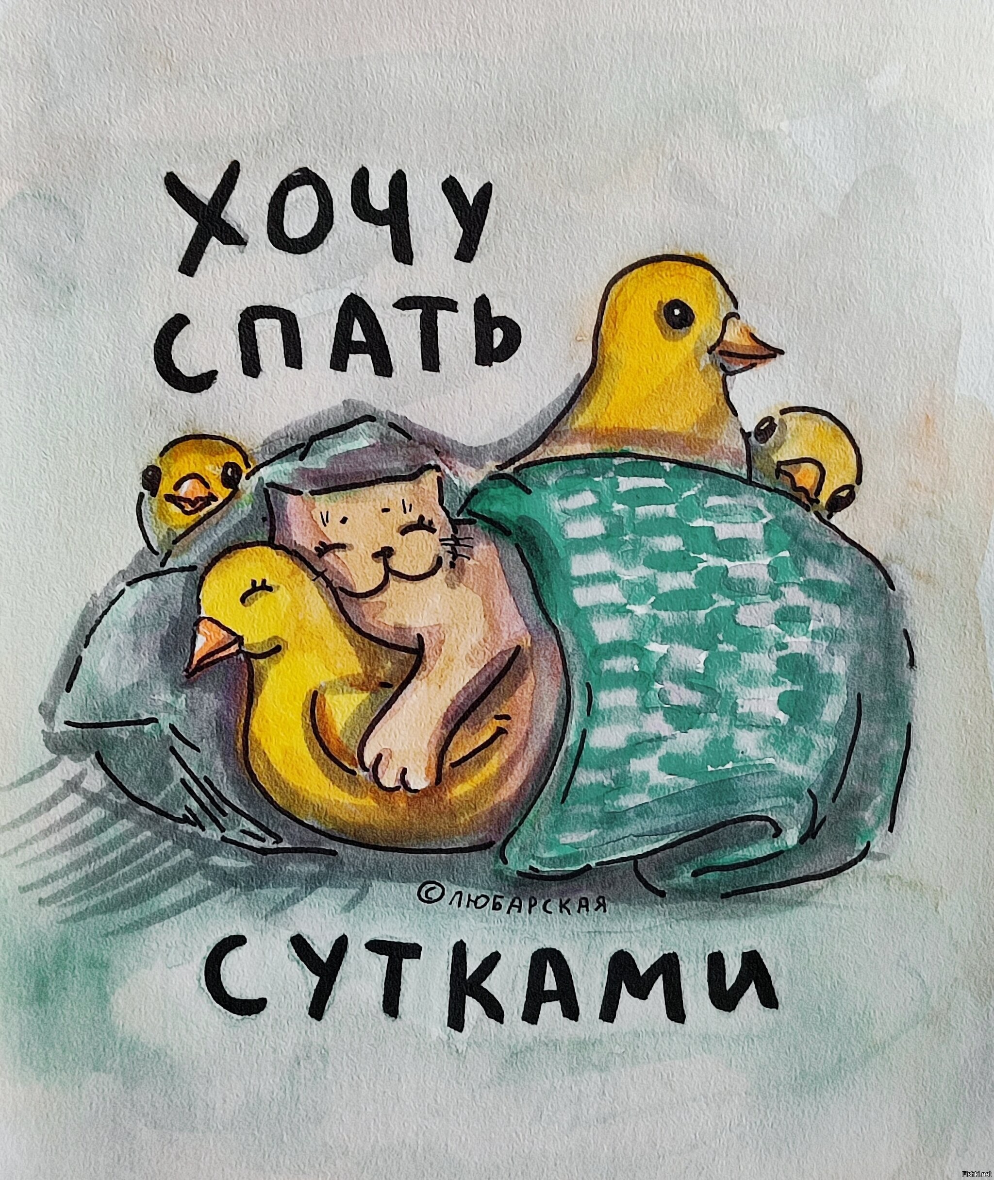 Солянка