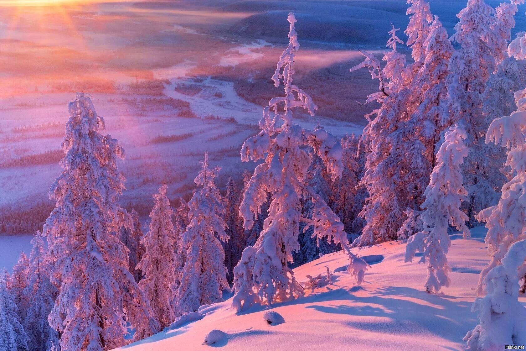 Солянка