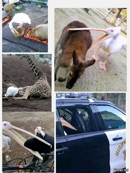 Преступление и наказание