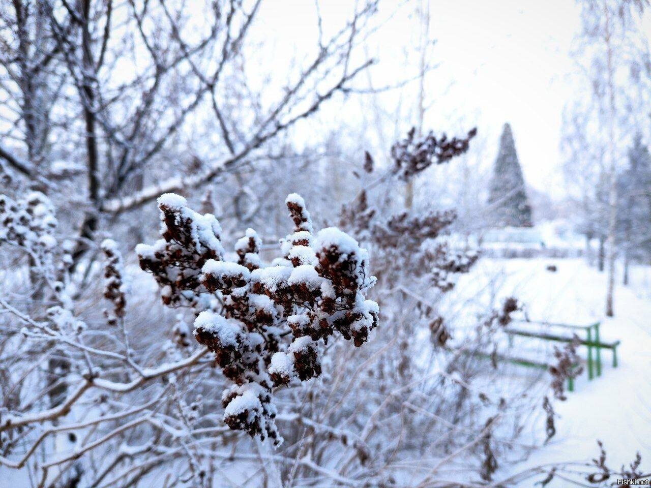 Солянка