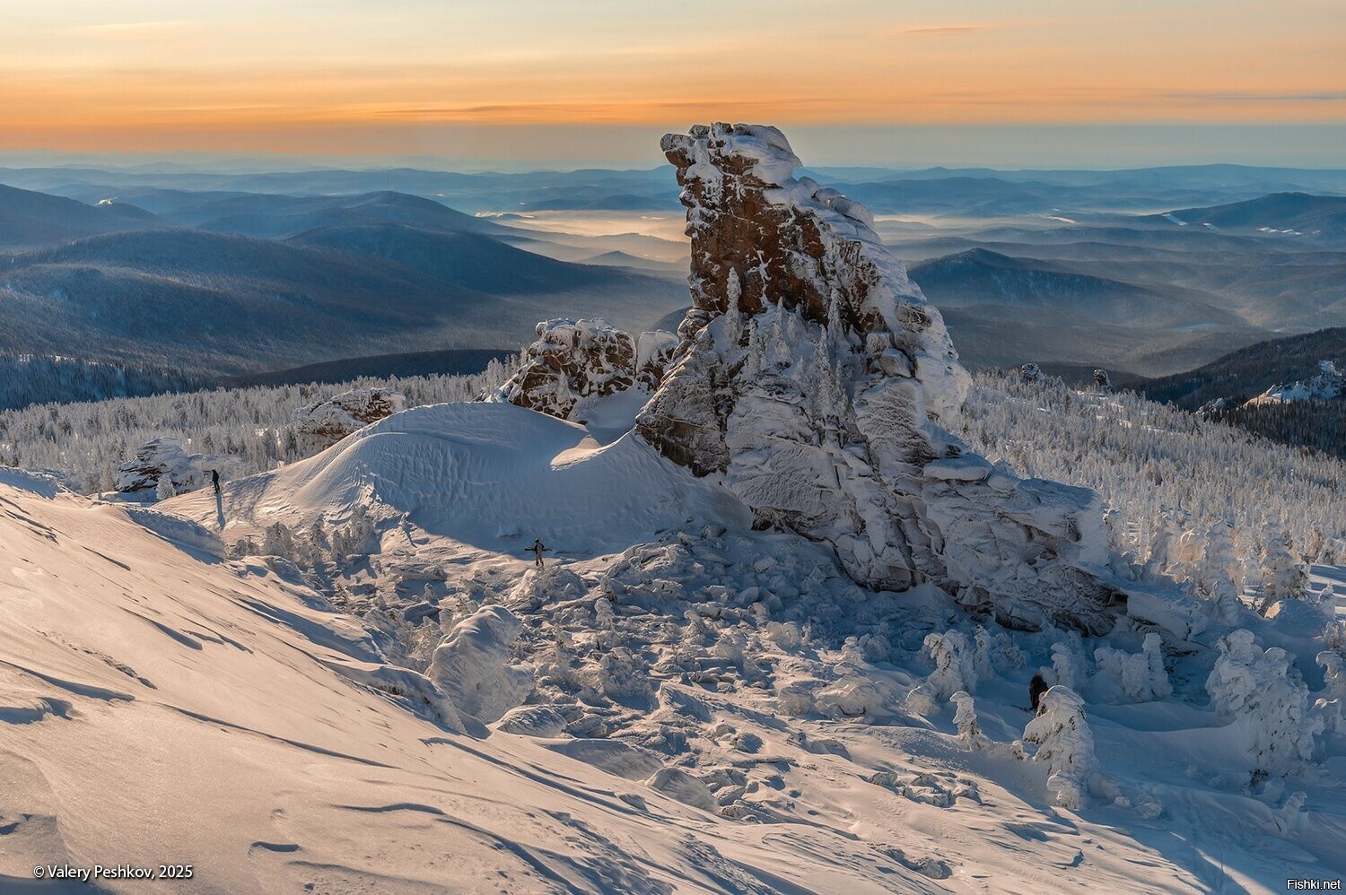 Солянка