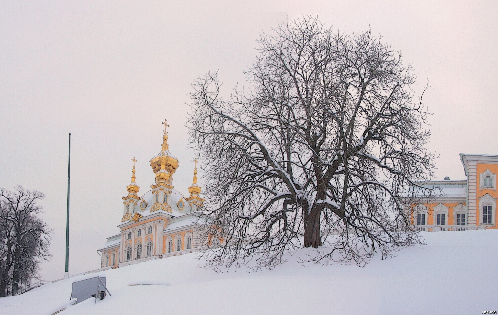 Солянка