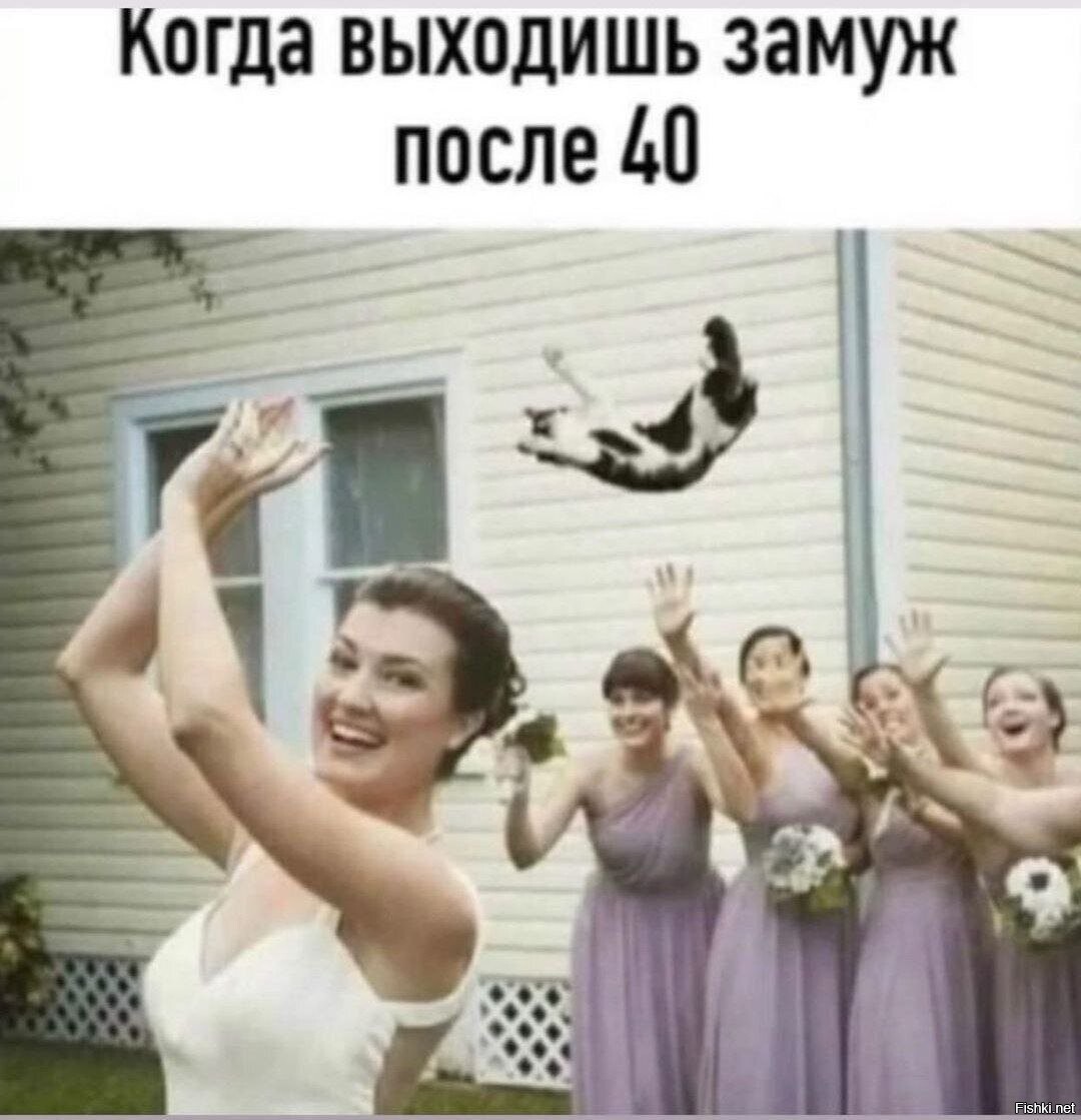 Теперь знаю, кто котеек не любит