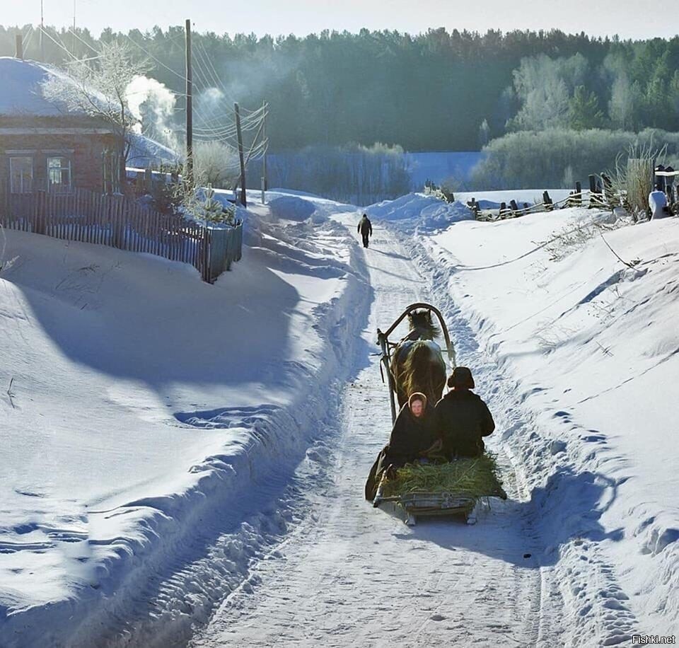 Солянка