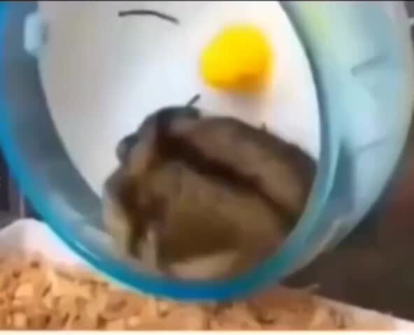 С Утром