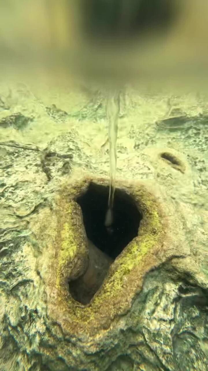 Водоворот