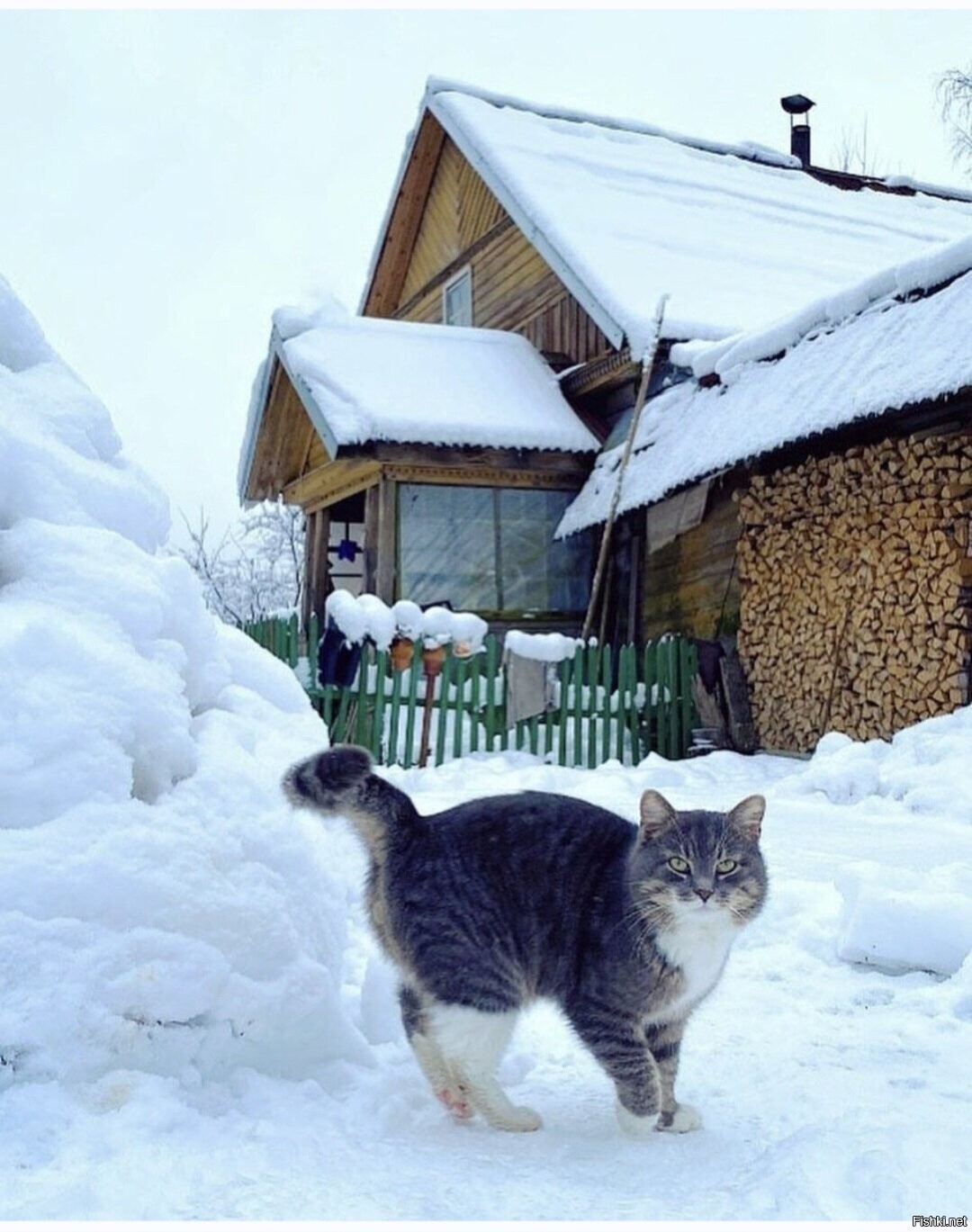 Солянка