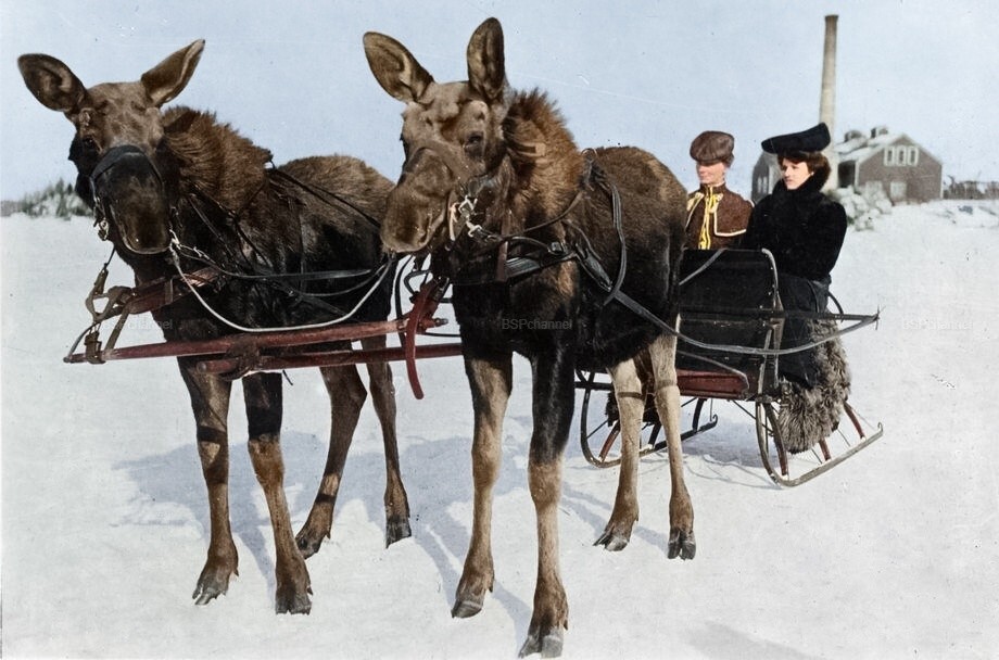 Подборка фотографий из прошлого, которые заставляют удивиться