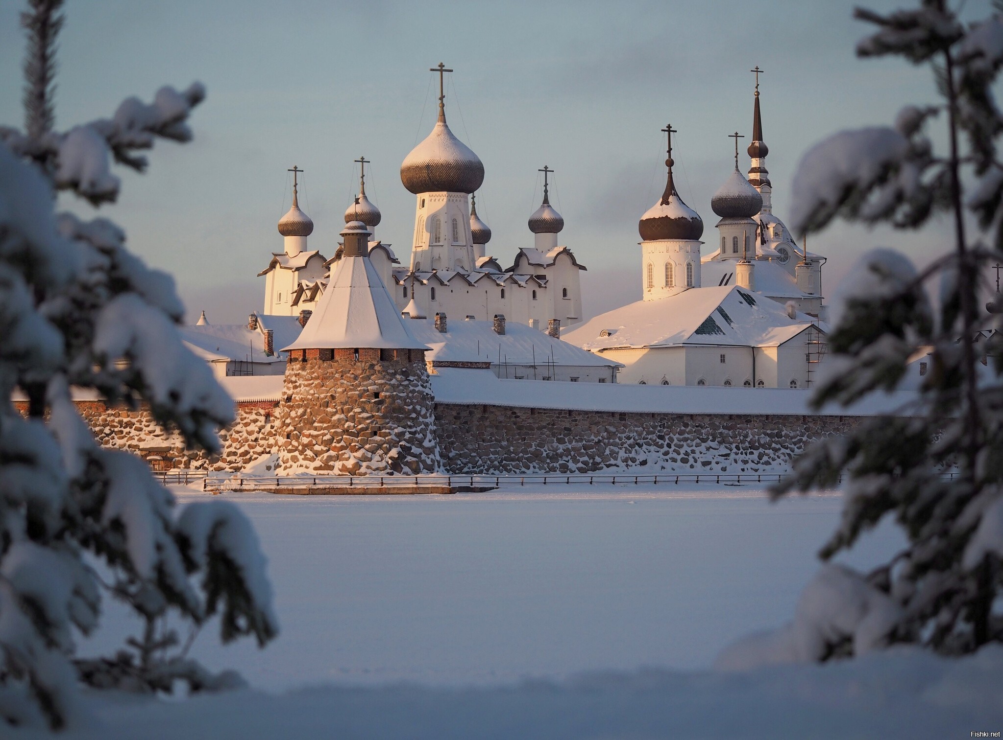 Солянка
