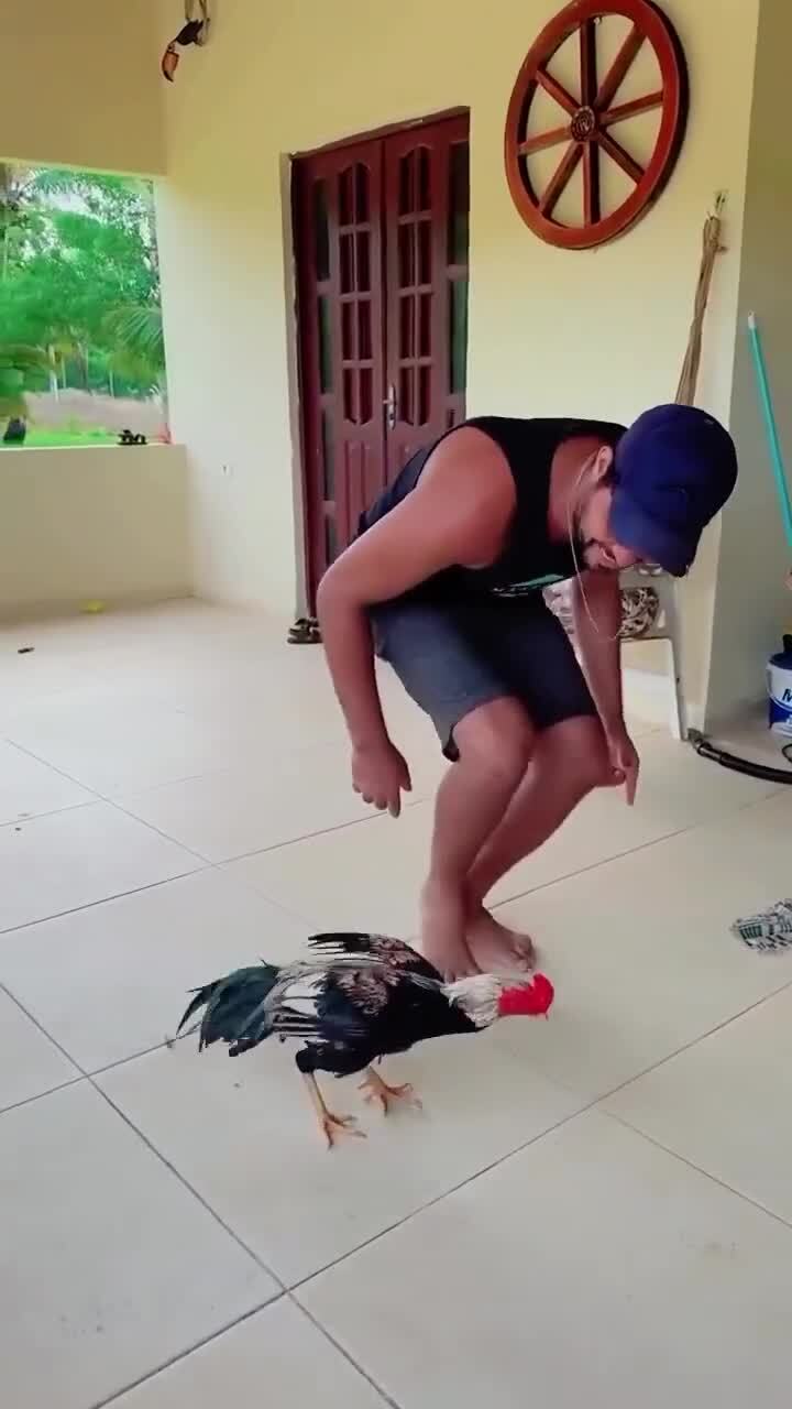 Лунная походка