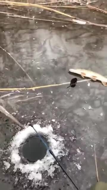 Не рассчитал размер