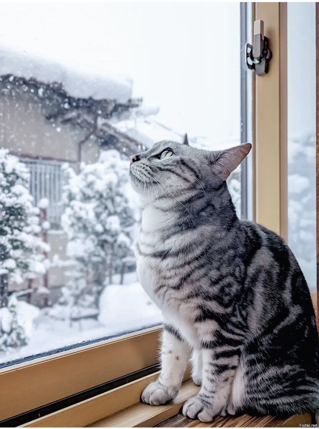 Доброе утро