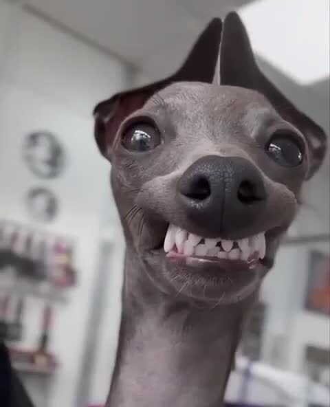 Сегодня День жизнелюба