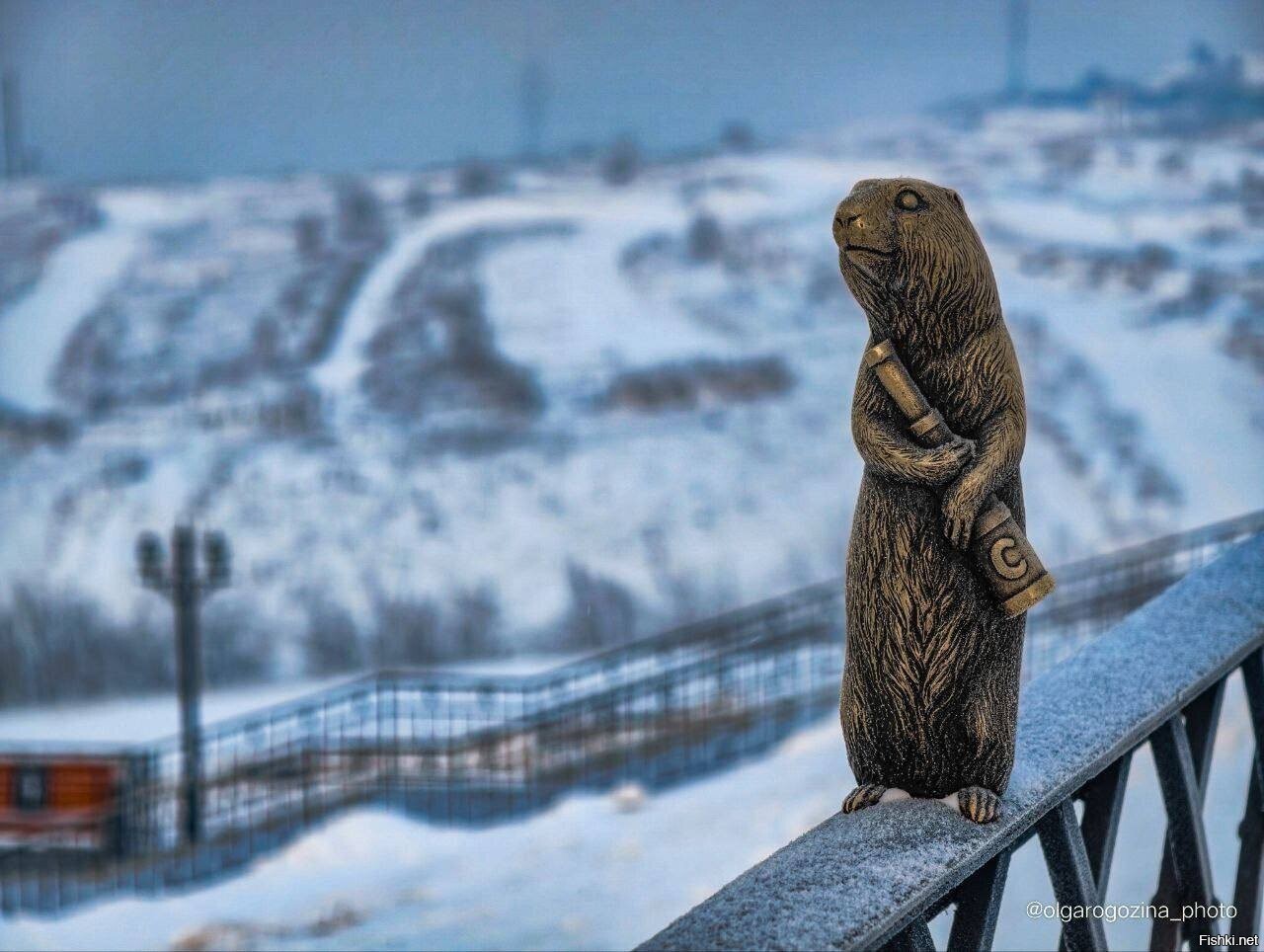 Солянка