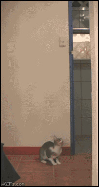 Охотник