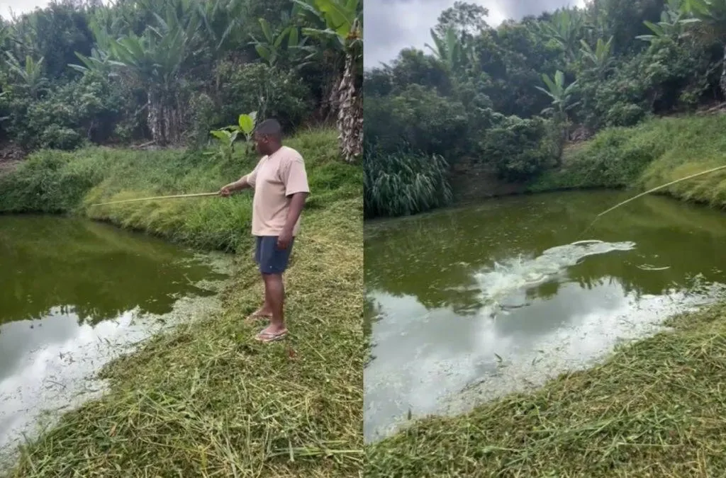 Неудачный улов и незапланированное купание