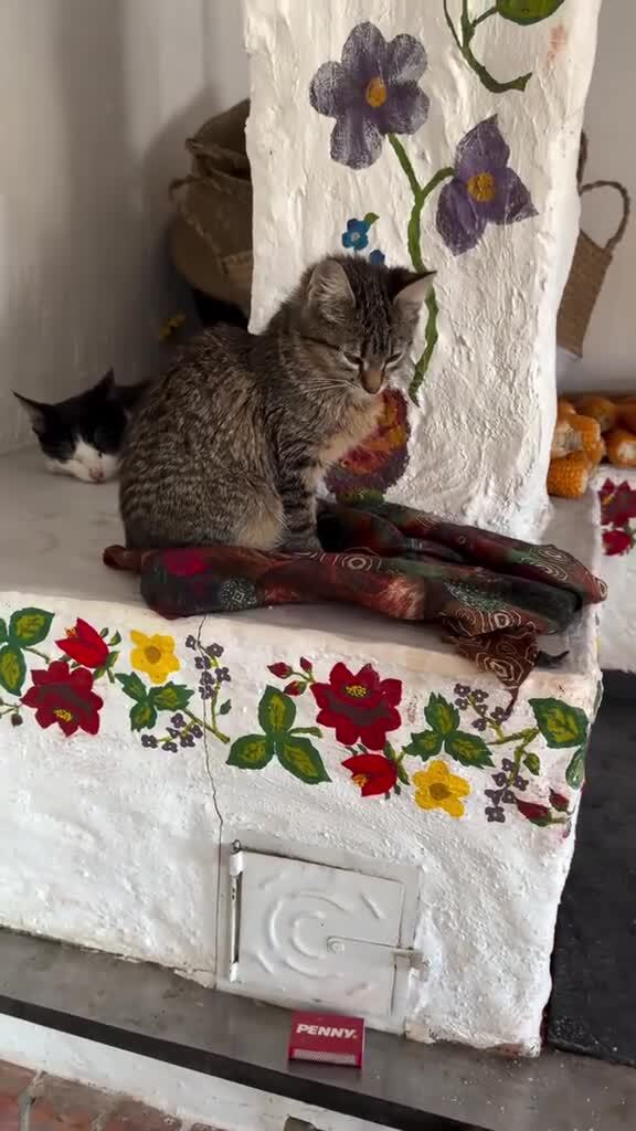 Солянка