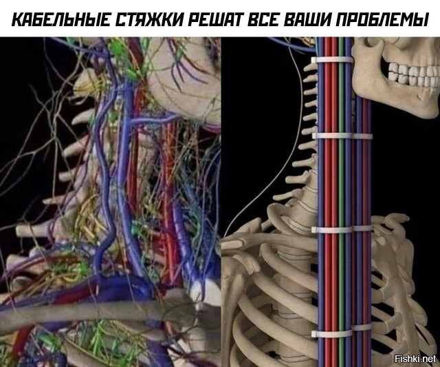 Солянка