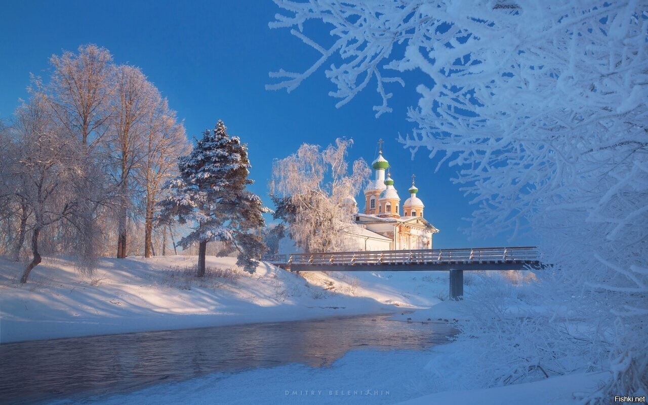 Солянка
