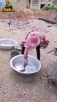 Солянка