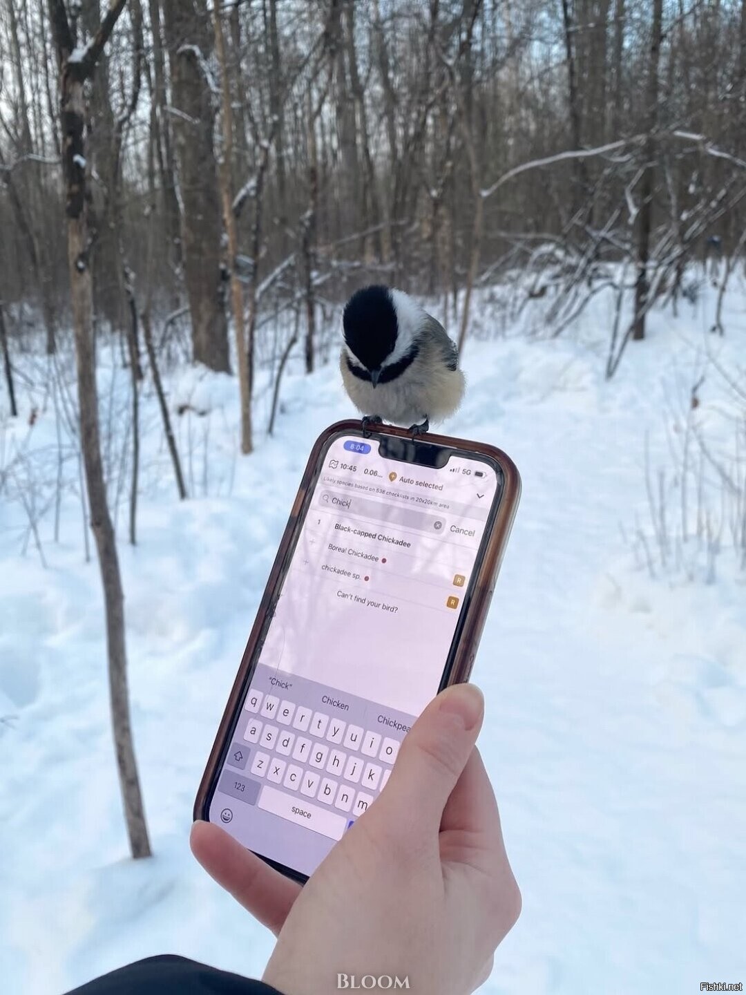 Солянка