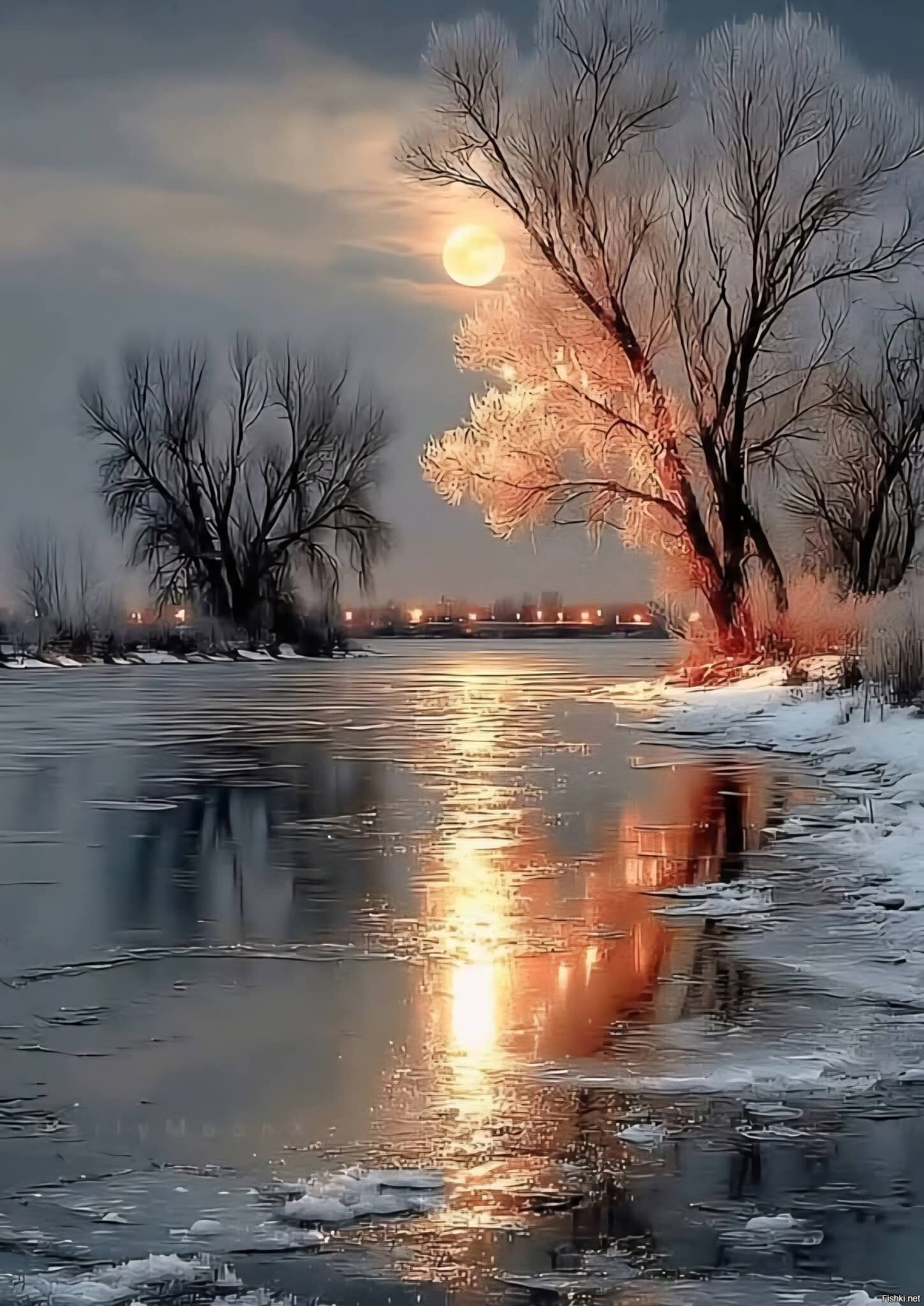 Солянка