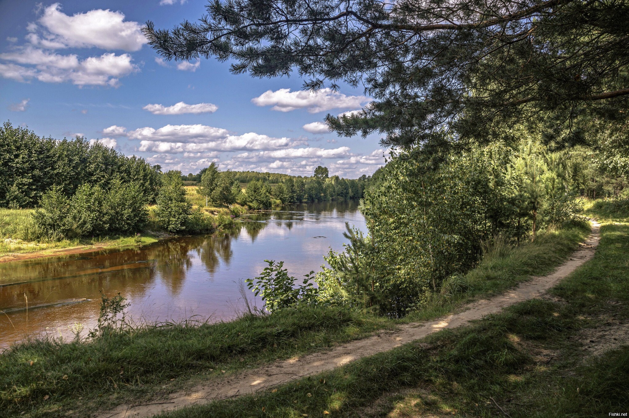 Солянка