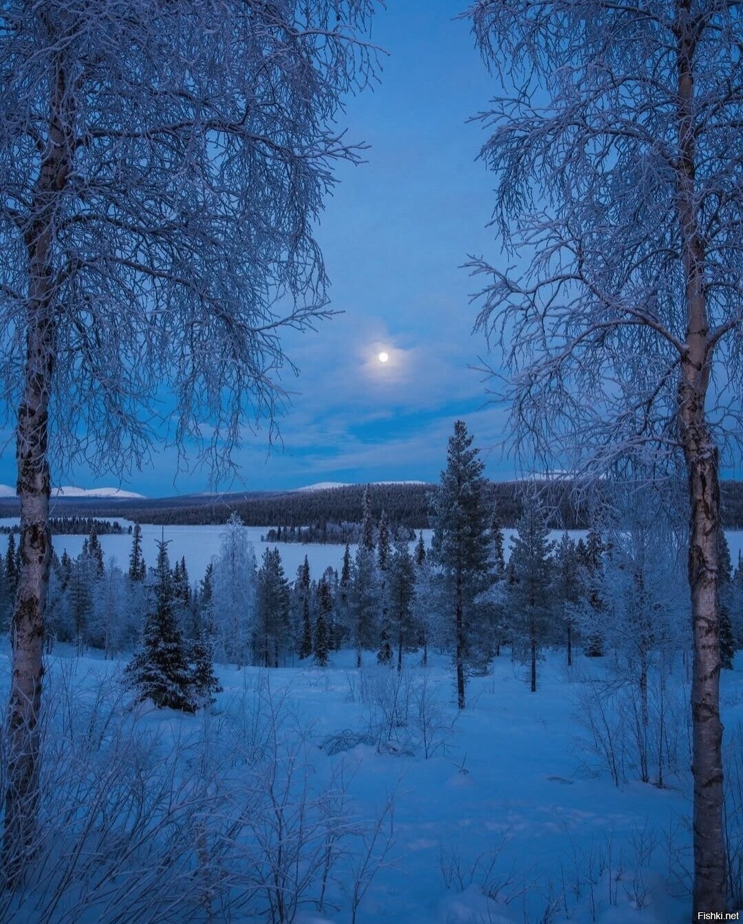Солянка